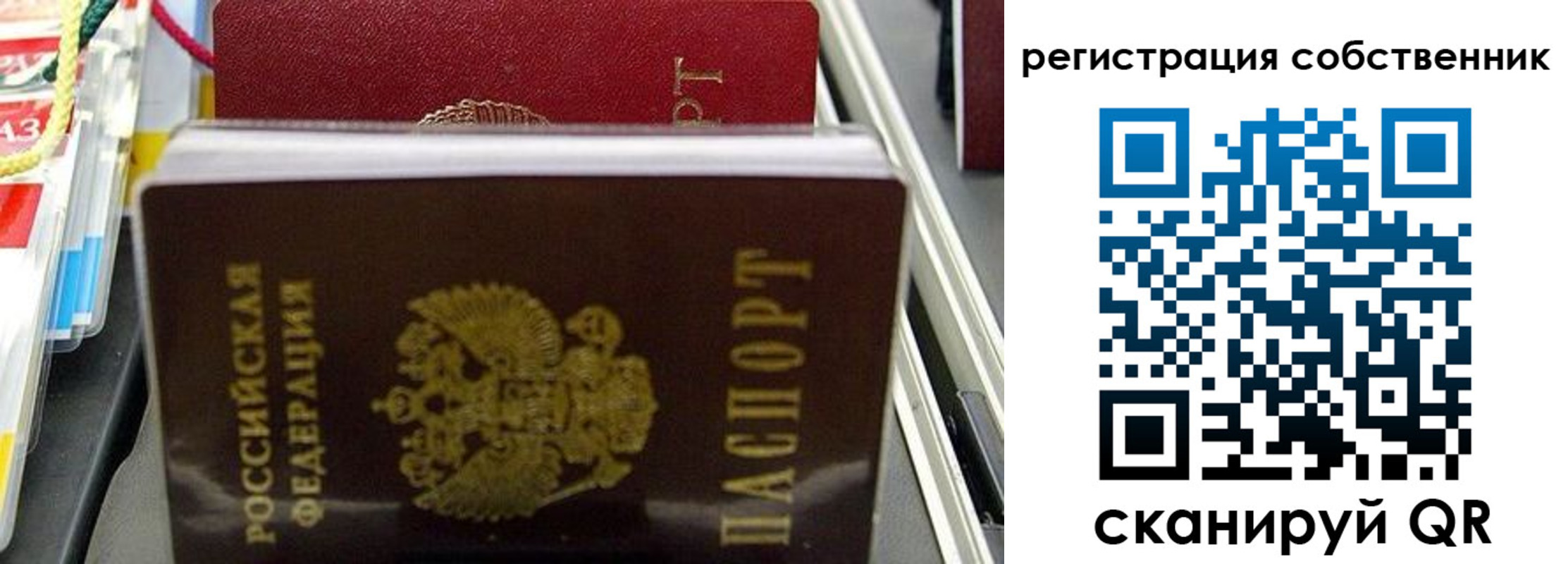 временная регистрация поиск в Ясном